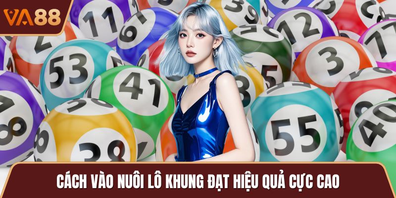Cách vào nuôi lô khung đạt hiệu quả cực cao