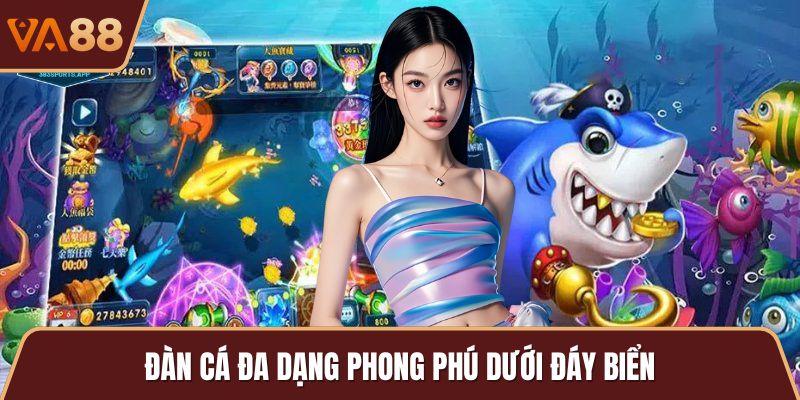 Đàn cá đa dạng phong phú dưới đáy biển
