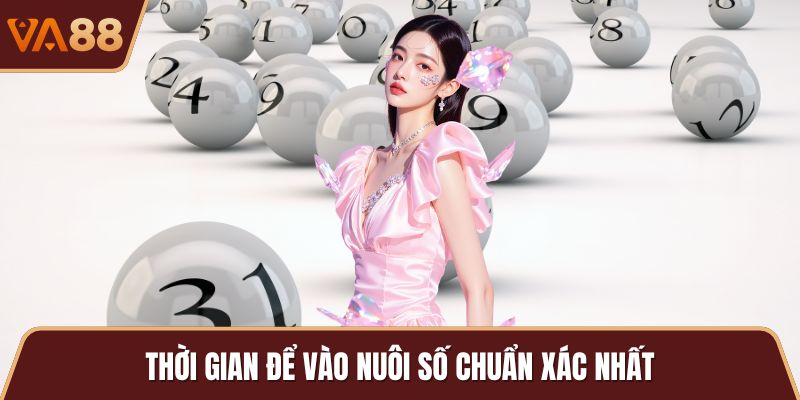 Thời gian để vào nuôi số chuẩn xác nhất